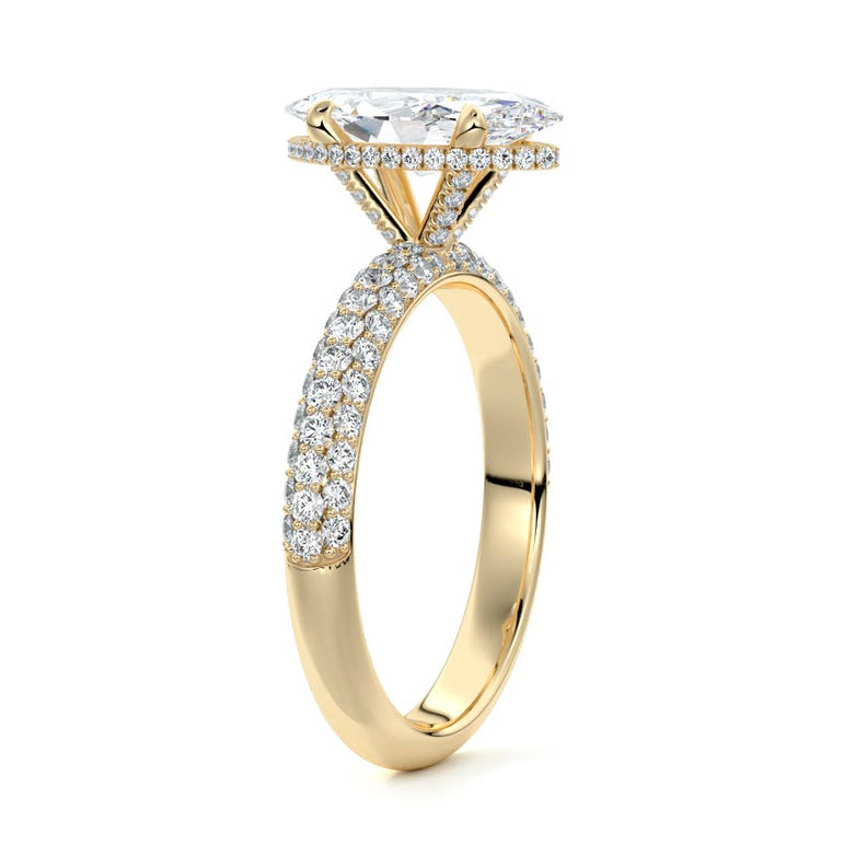 Marquise