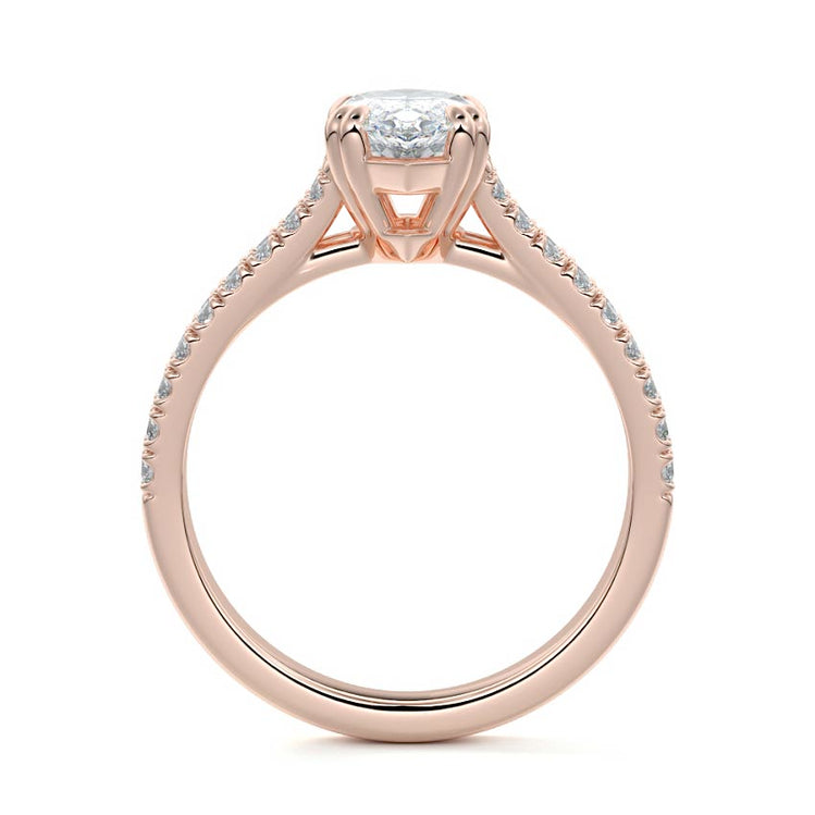 Marquise