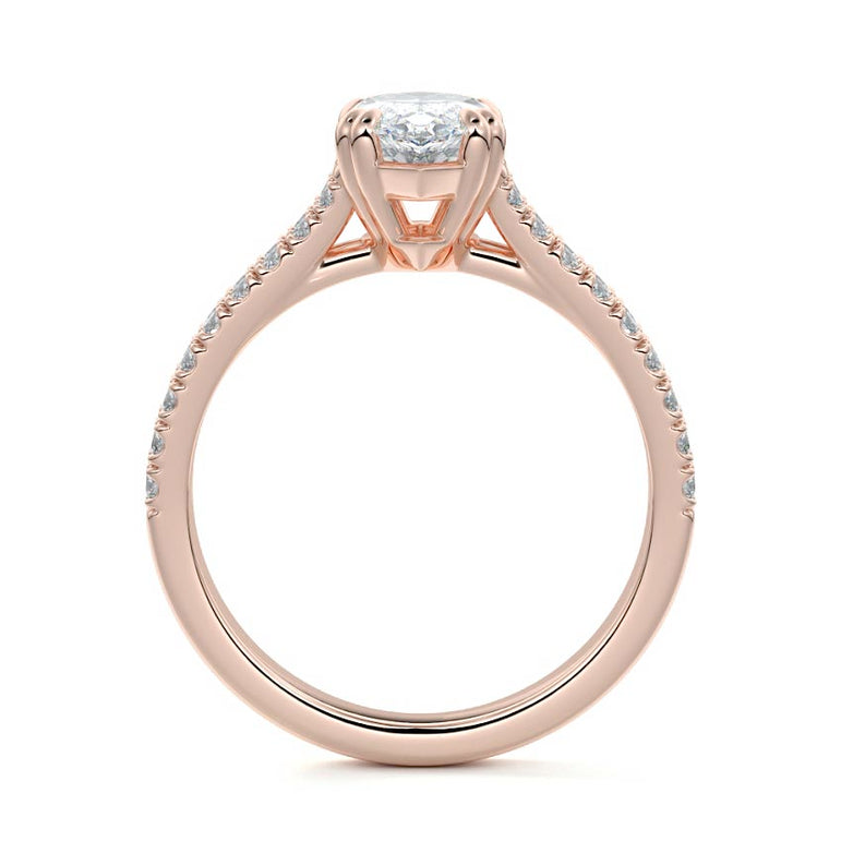 Marquise