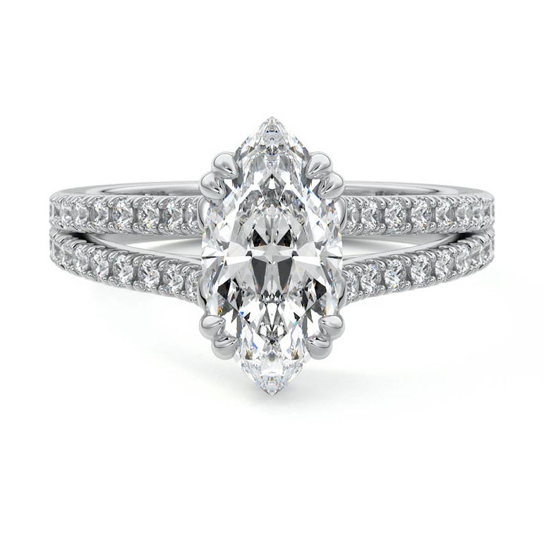 Marquise