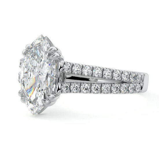 Marquise