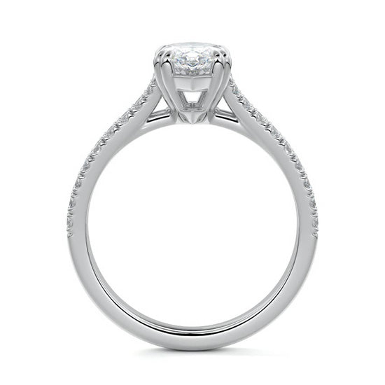 Marquise
