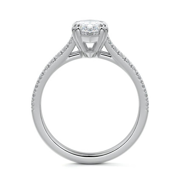 Marquise