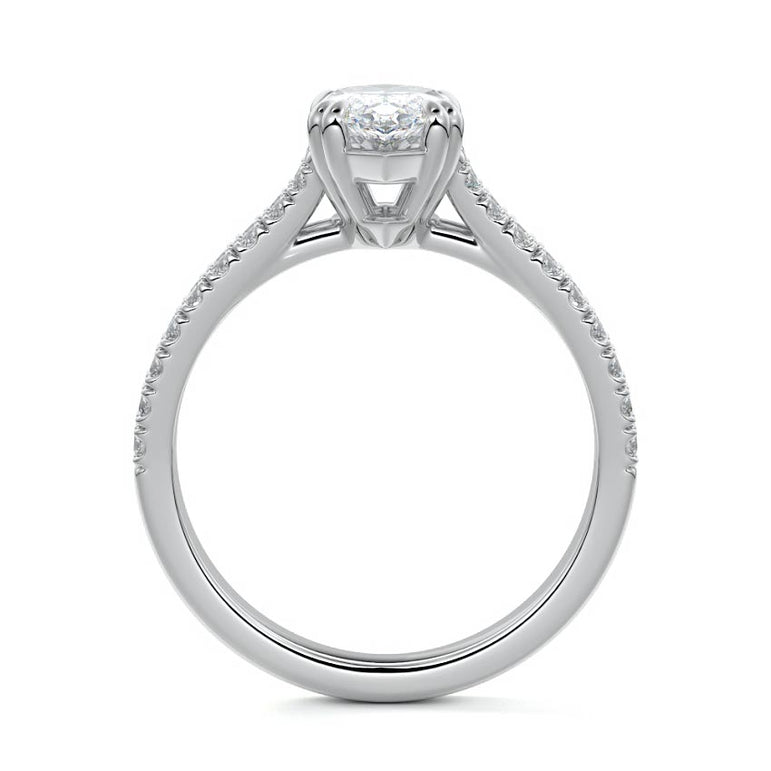 Marquise