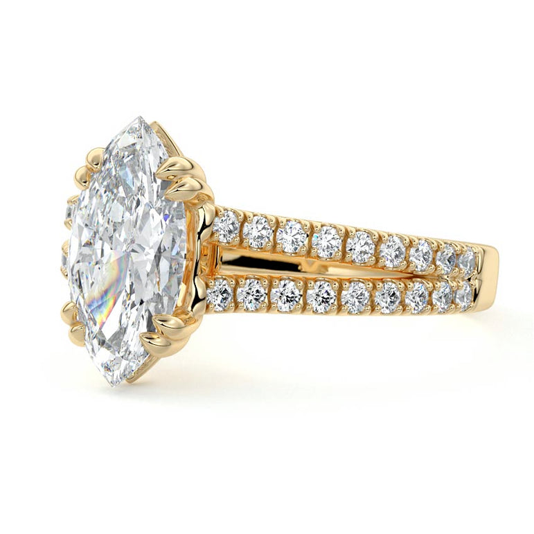 Marquise