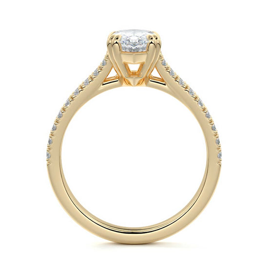 Marquise