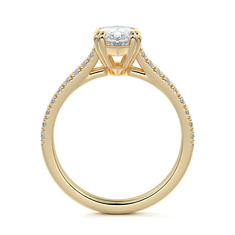 Marquise