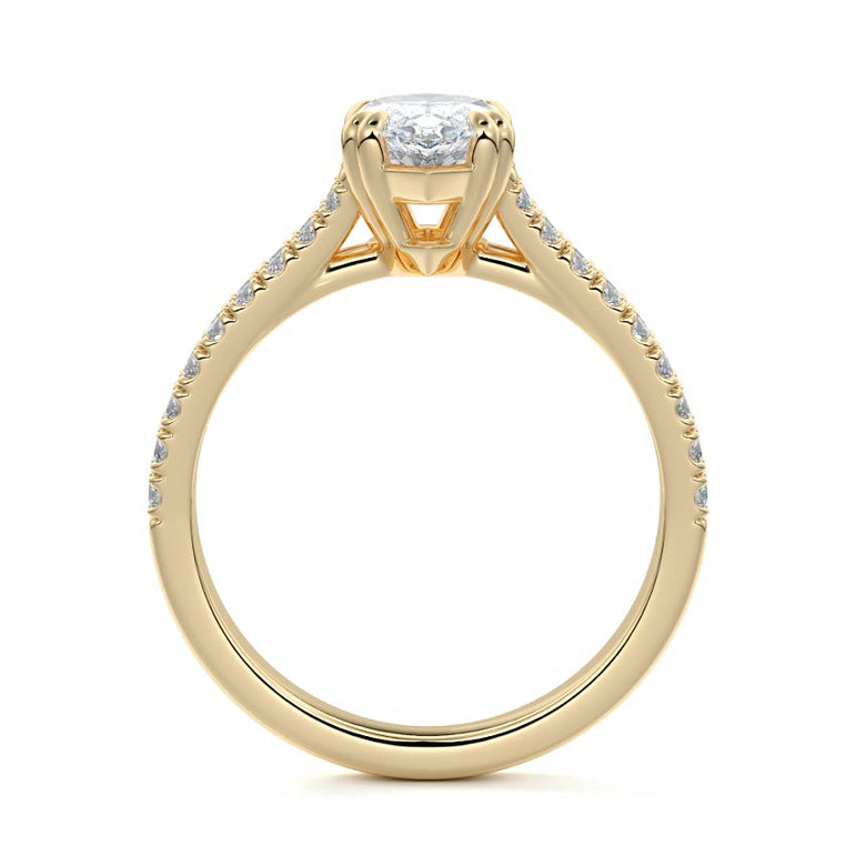 Marquise