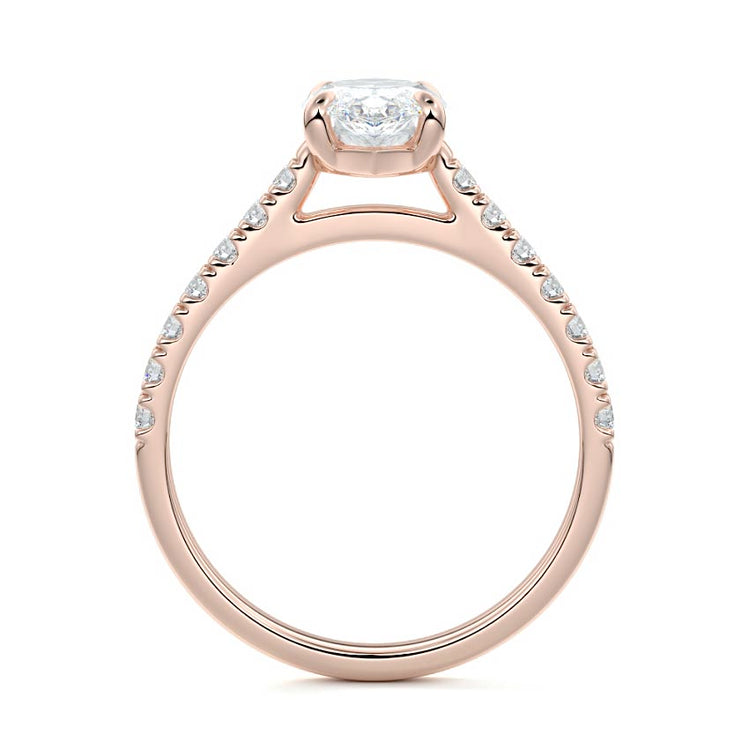Marquise
