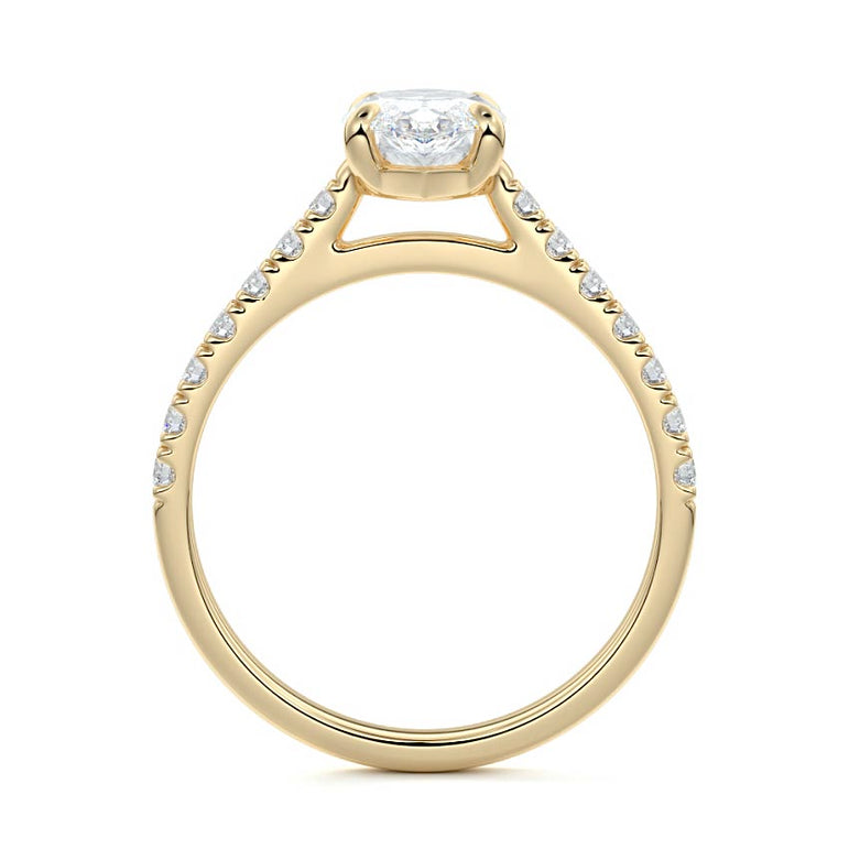 Marquise