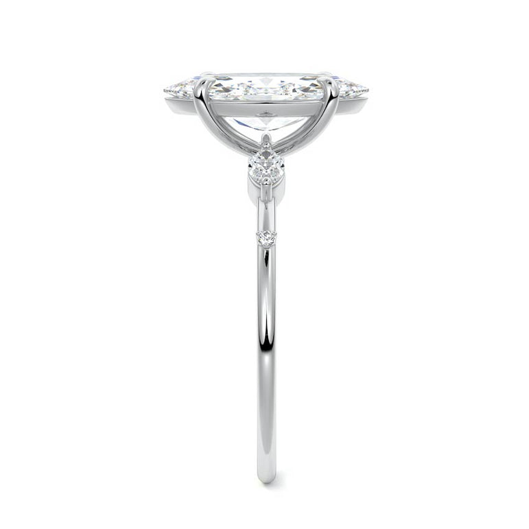 Marquise