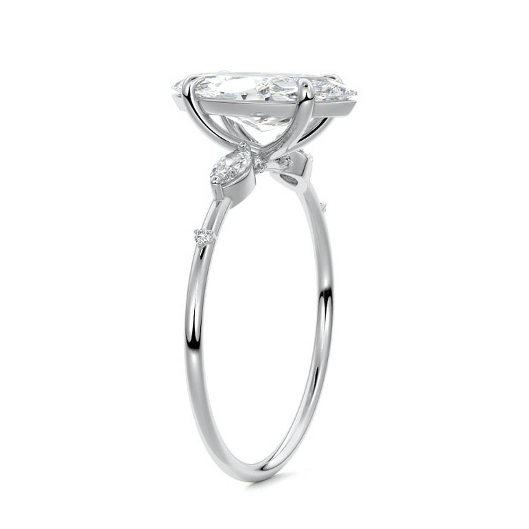 Marquise