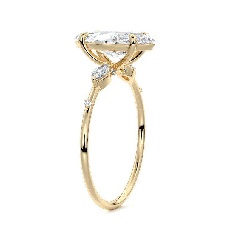 Marquise