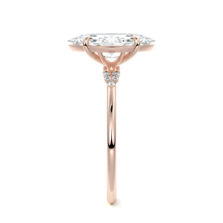 Marquise