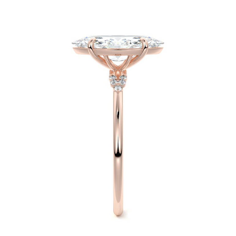 Marquise