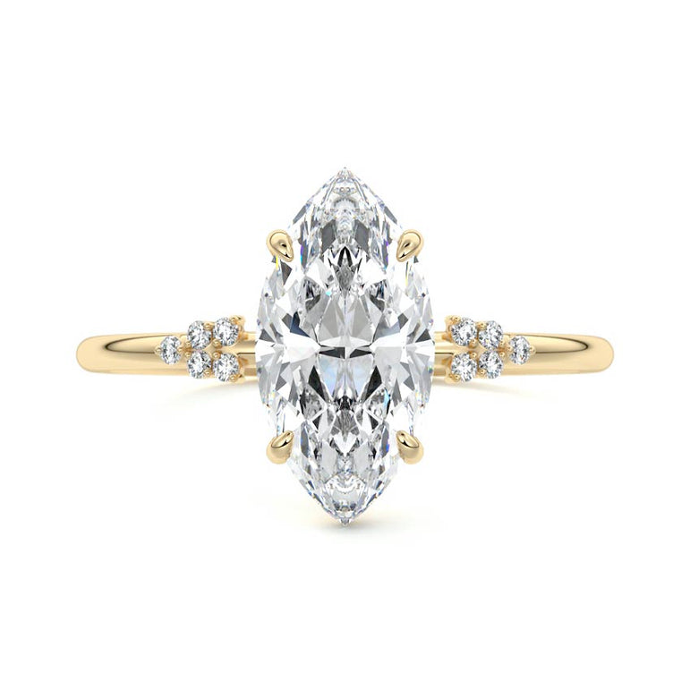 Marquise