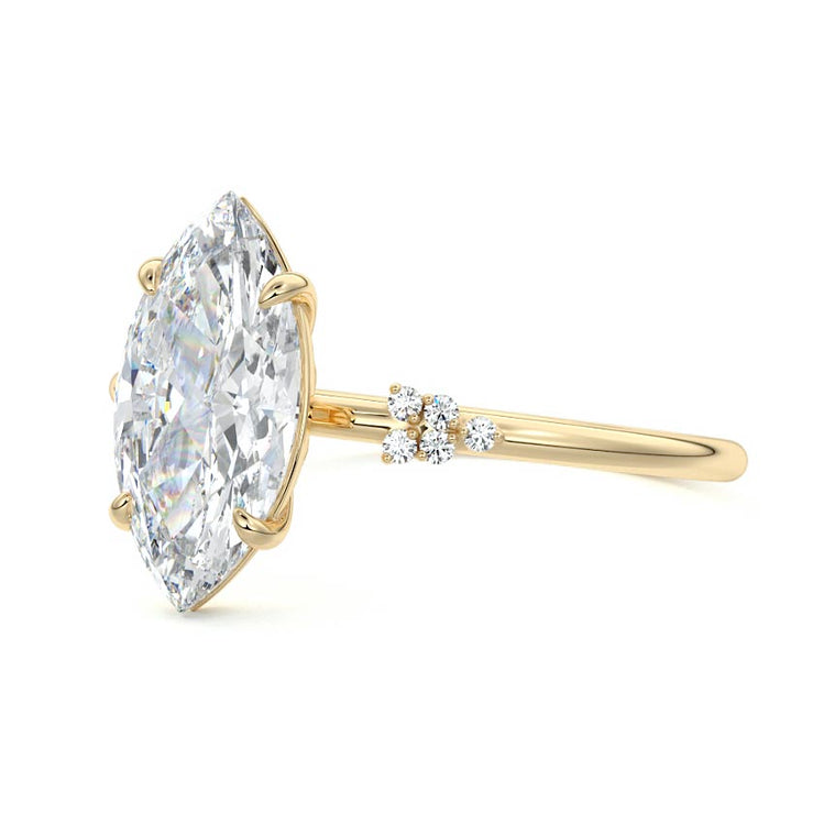 Marquise