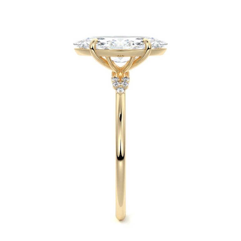 Marquise