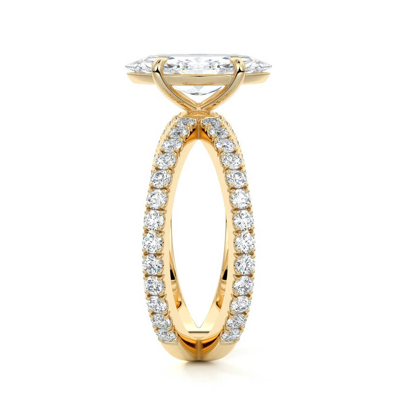 Marquise