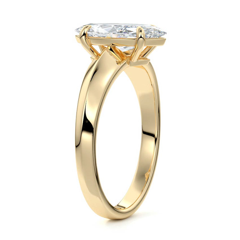 Marquise