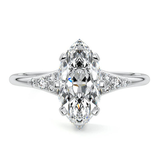 Marquise