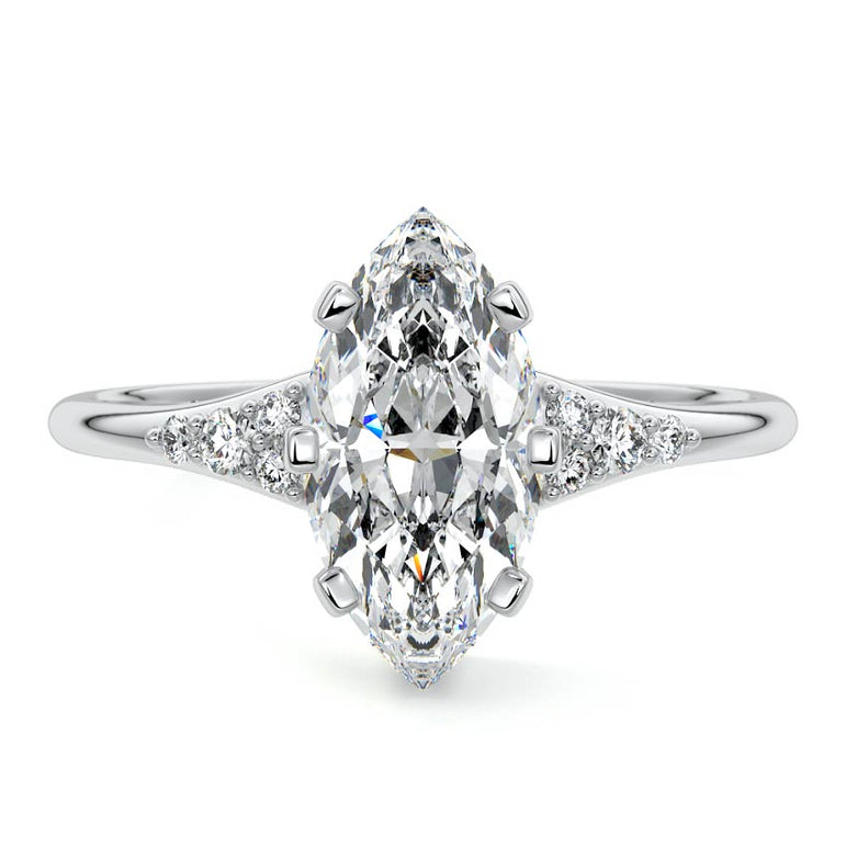 Marquise