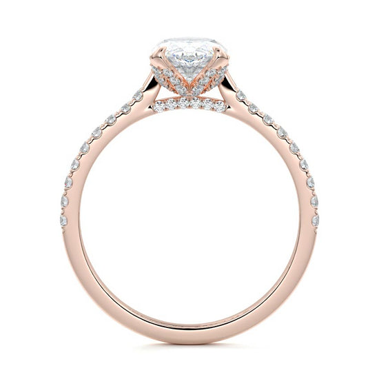 Marquise
