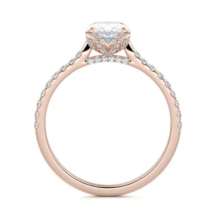 Marquise