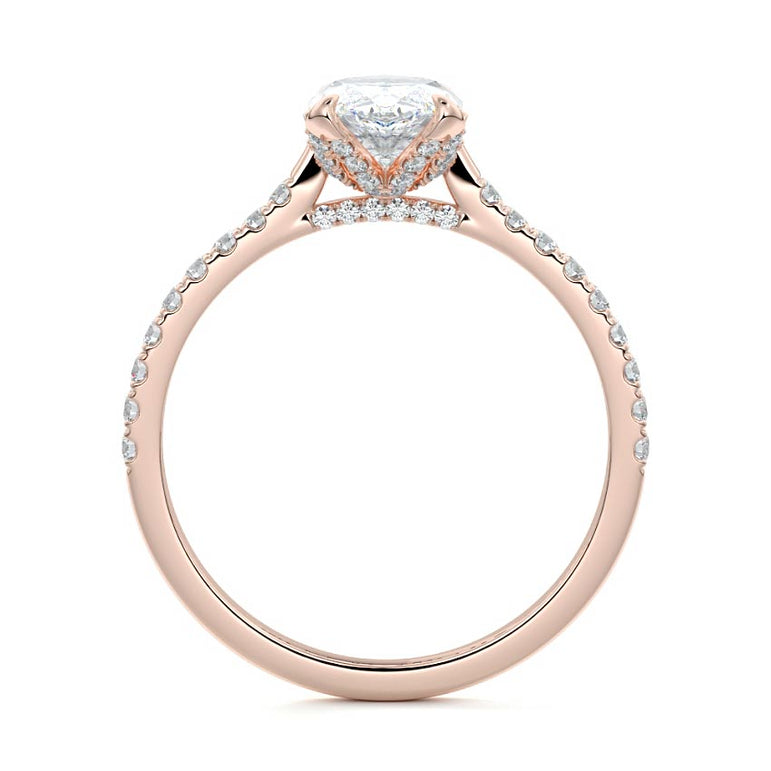 Marquise