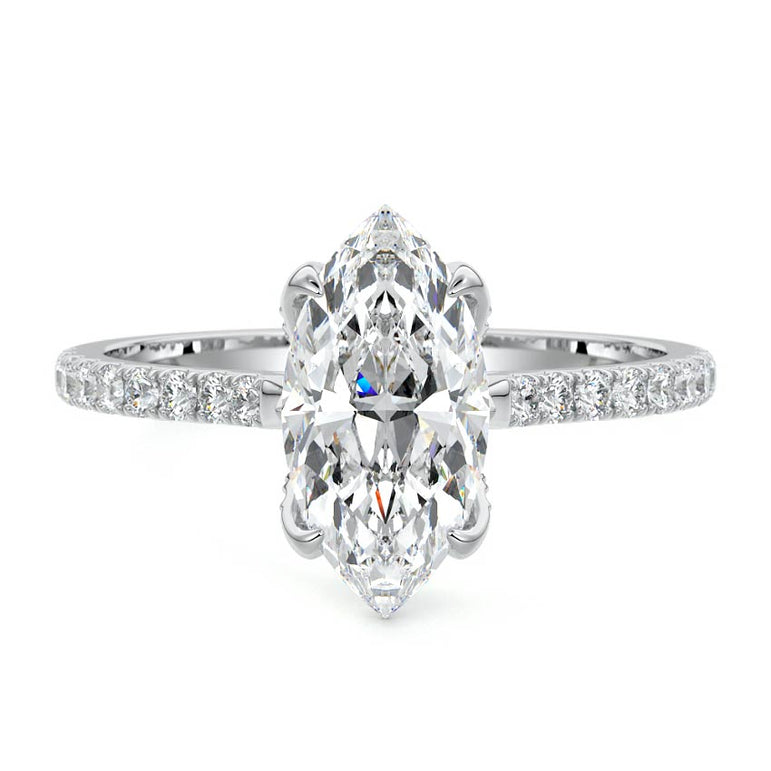 Marquise