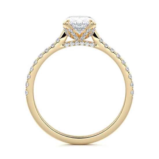 Marquise