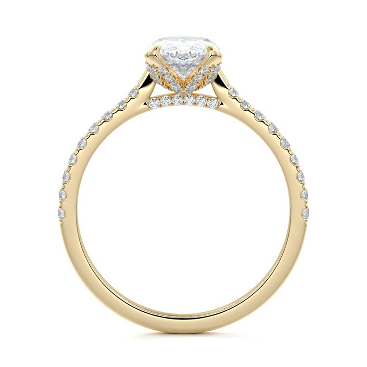 Marquise