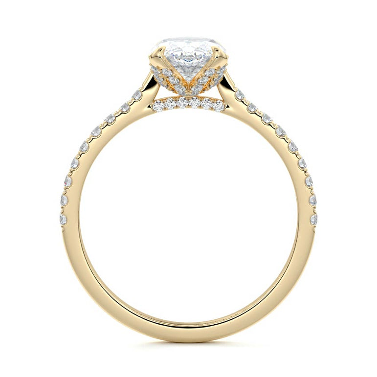 Marquise