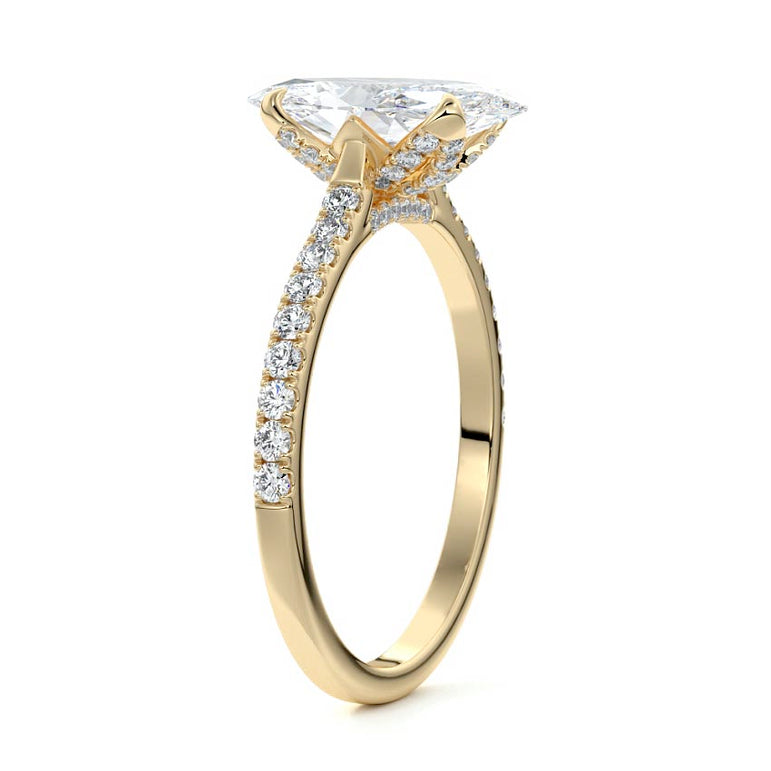 Marquise