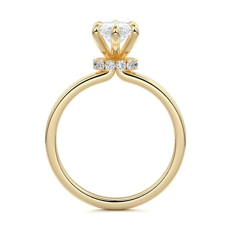 Marquise