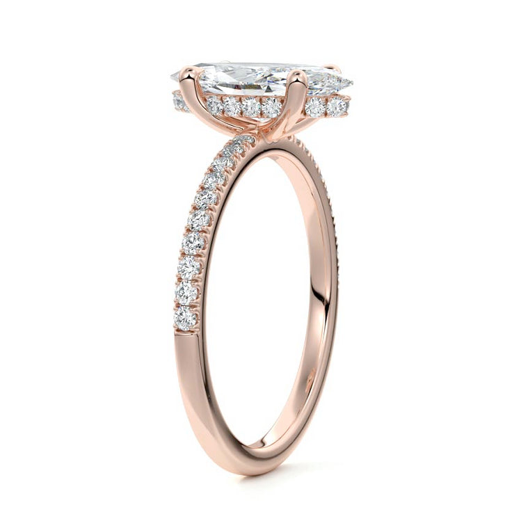 Marquise