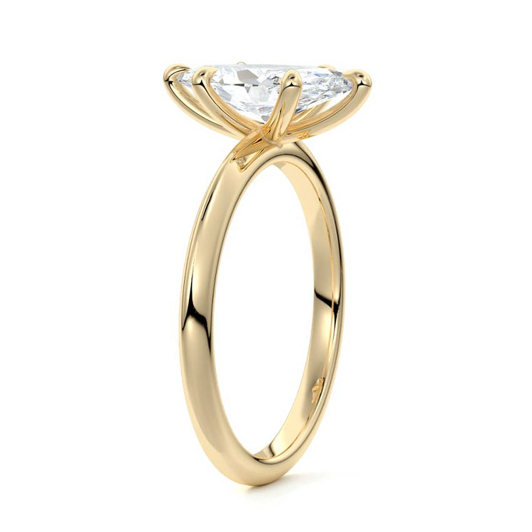 Marquise