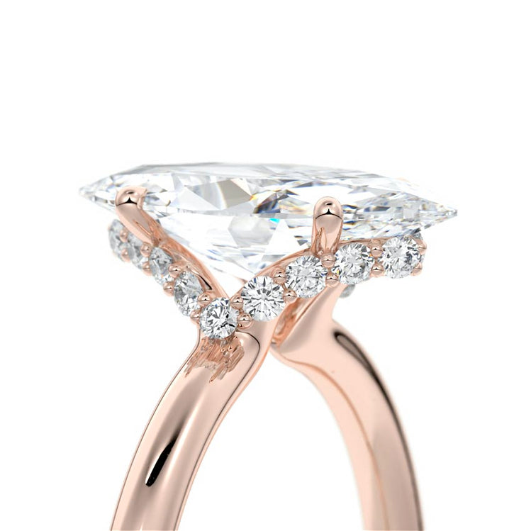 Marquise