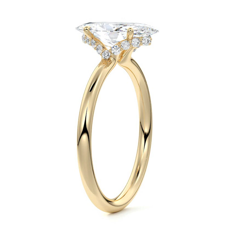 Marquise